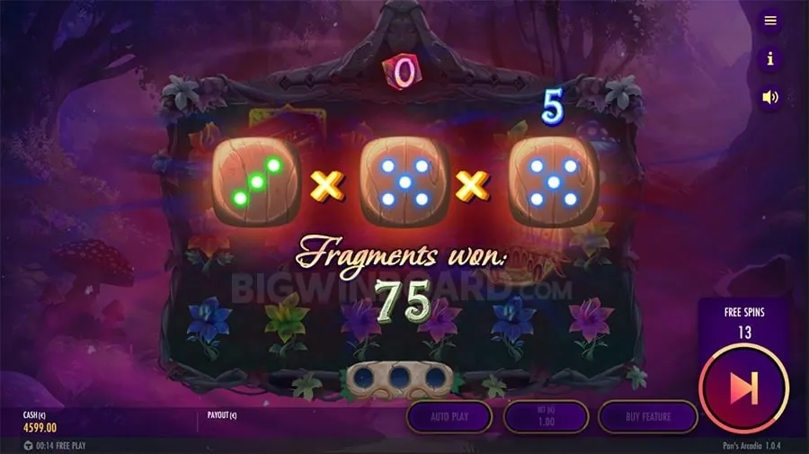Live Casino Experience